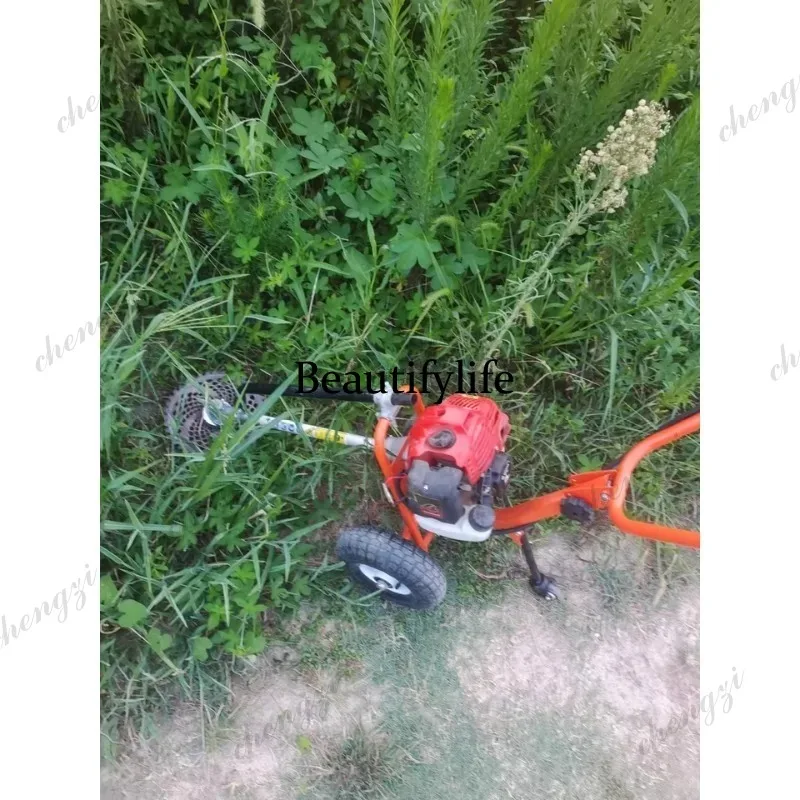 Mesin pemotong rumput dorong L - Power Tools Garden ulasan dan harga
