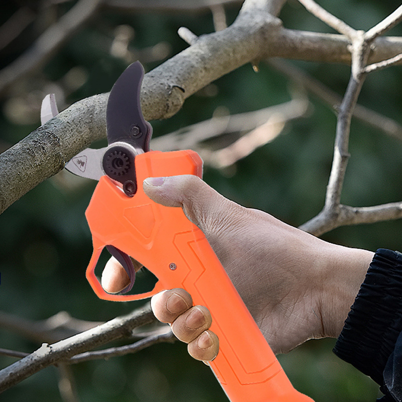 Alat Pemangkas Dahan Pohon Lis - Power Tools Garden ulasan dan harga